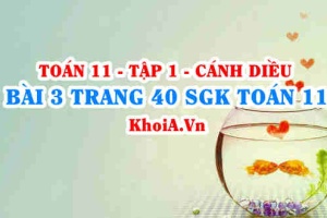 Bài 3 trang 40 SGK Toán 11 tập 1 Cánh Diều